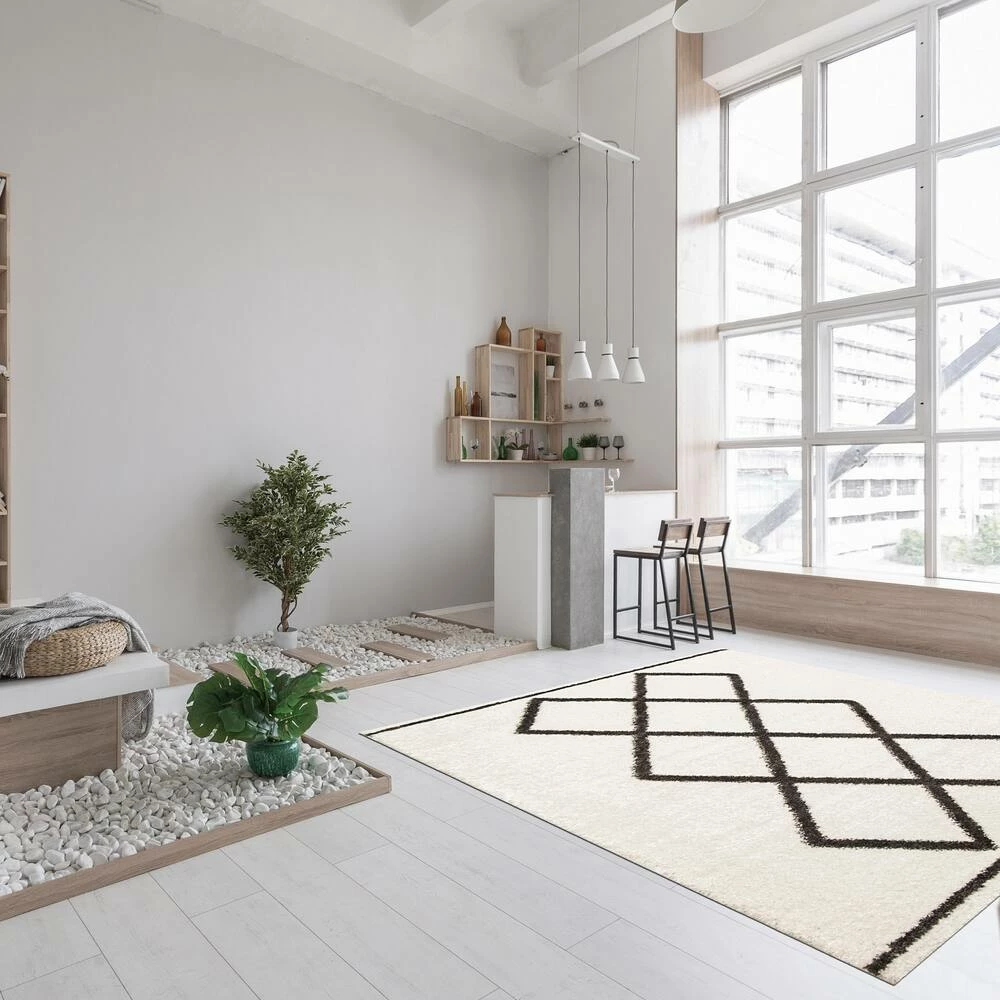 Ecarpet Gallery ECARPET Amara Indoor Geometric Area Shag Rug, Ivory, Assorted Sizes - Image 9