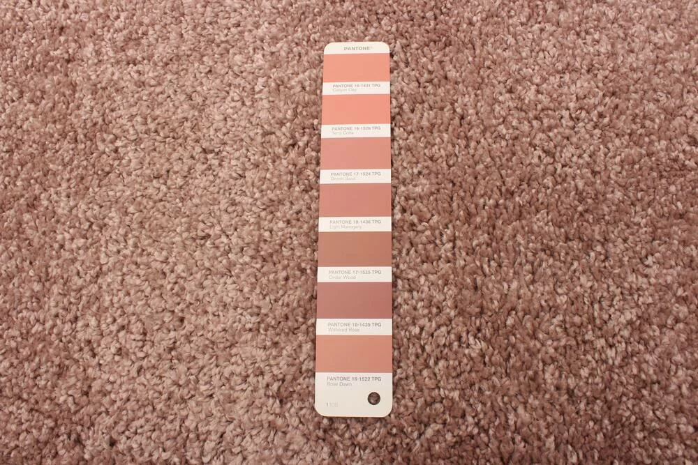 Ecarpet Gallery ECARPET Bellamy Indoor Area Shag Rug, Pink, Assorted Sizes - Image 7