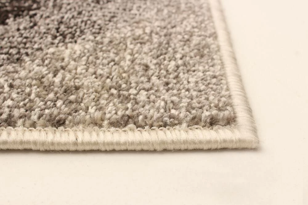 Ecarpet Gallery ECARPET Cora Indoor Area Rug, Ivory/Brown, Assorted Sizes - Image 6