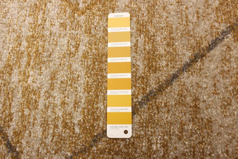 Ecarpet Gallery ECARPET Devos Indoor Geometric Area Rug, Ivory/Gold, Assorted Sizes - Image 6