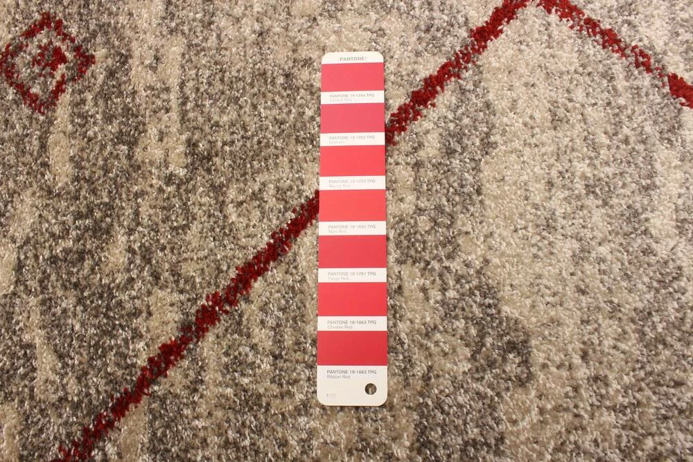 Ecarpet Gallery ECARPET Devos Indoor Geometric Area Rug, Ivory/Red, Assorted Sizes - Image 4