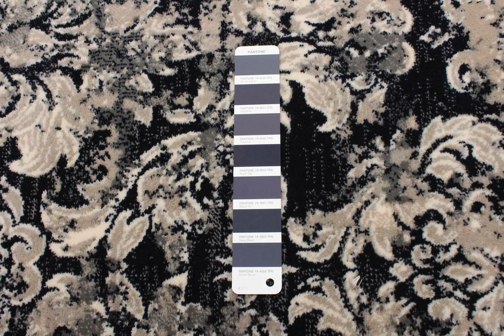 Ecarpet Gallery ECARPET Raven Indoor Area Rug, Ivory/Black, Assorted Sizes - Image 7