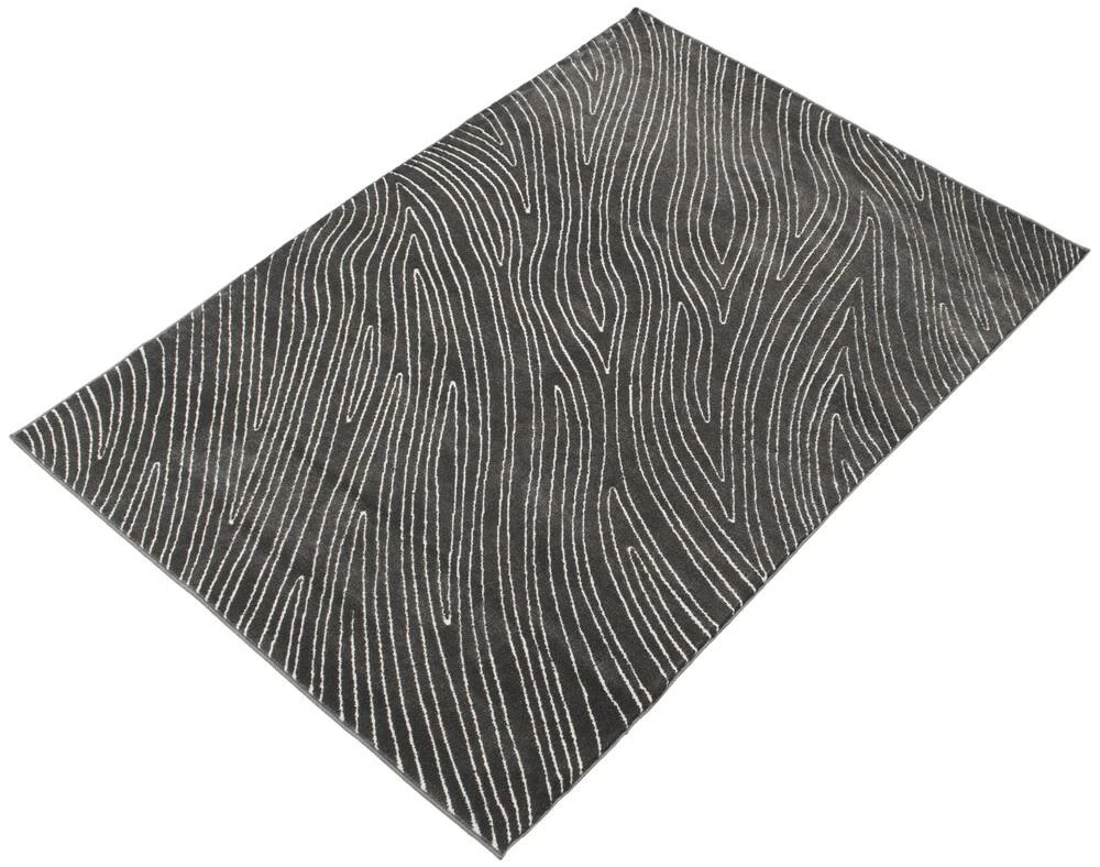 Ecarpet Gallery ECARPET Vector Indoor Area Rug, Grey, Assorted Sizes