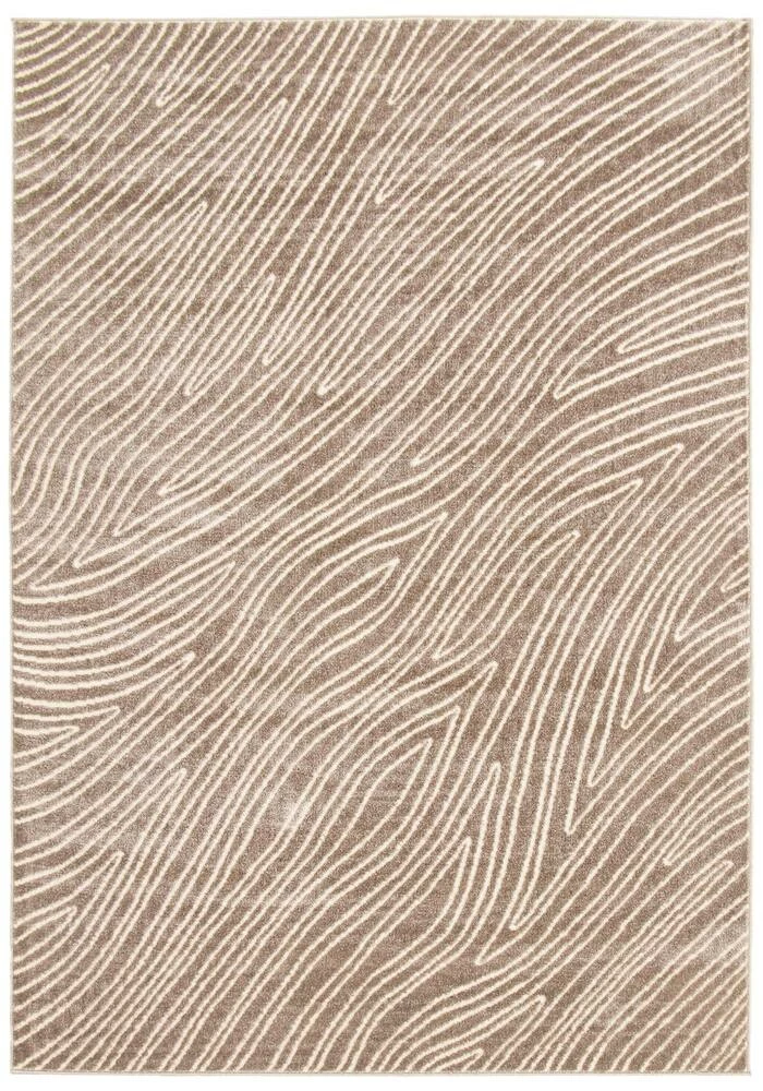 Ecarpet Gallery ECARPET Vector Indoor Area Rug, Taupe, Assorted Sizes - Image 2